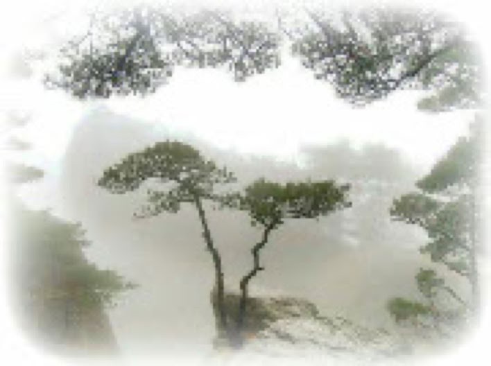The Landscape (region) of sandstone rock formations