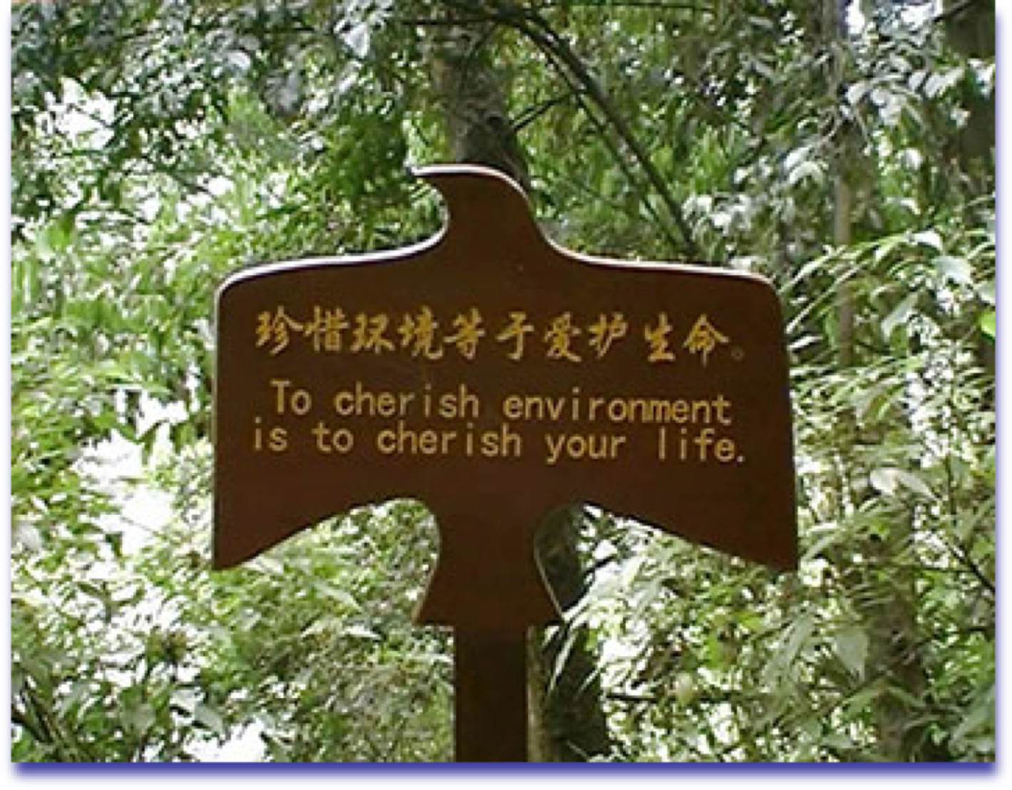 Wooden signboard with taoist text Qingcheng shan