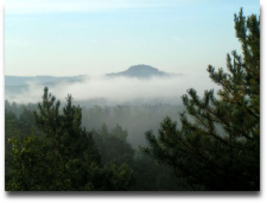 The essence of our martial art training is getting in tune with Nature.