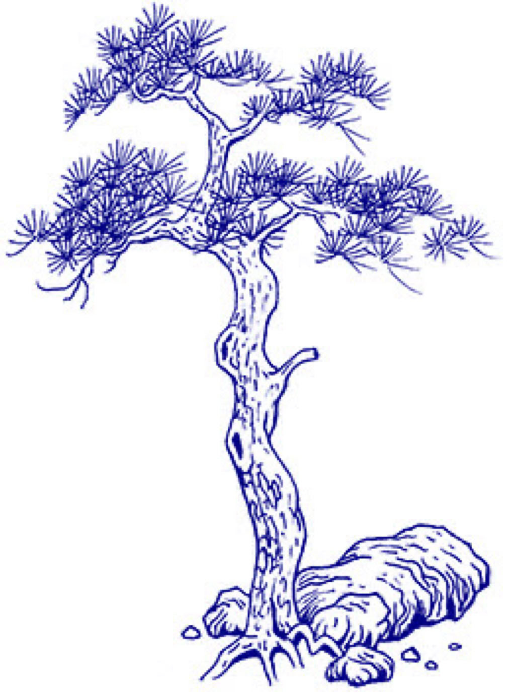 HAN ZEN - JIJI ZHUANG  Jianshen zhuang exercises are basis for more advanced jiji zhuang. 