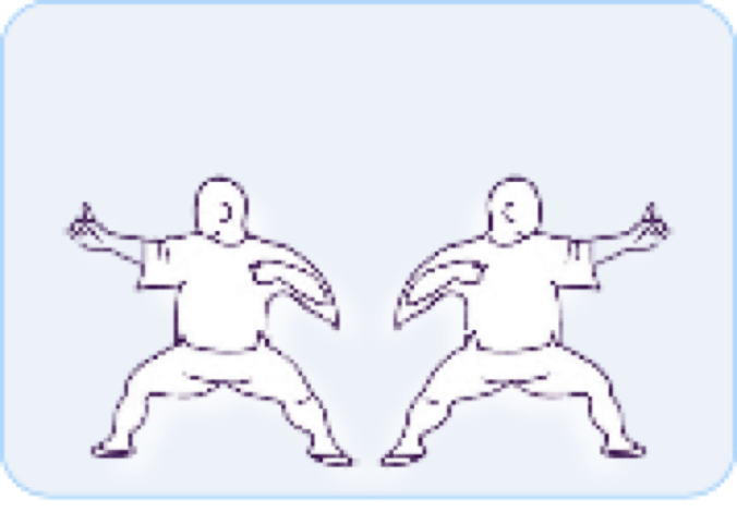 Hachidankin drawing Rinus Schulz