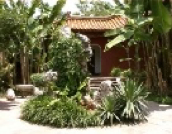 photo tropical garden